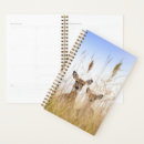 Search for cutest office supplies Beach