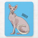 Search for hairless mouse mats Cat