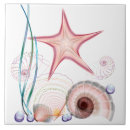 Search for beach shells tiles Aqua