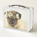 Search for pug lunch boxes Cute