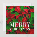 Search for plant christmas cards Winter