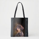Search for wiring bags Dog