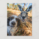 Search for breed vertical postcards Background