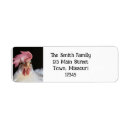 Search for funny chicken return address labels Hen