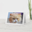 Search for persian cat christmas cards Kitten