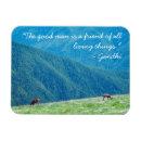 Search for deer buck magnets Landscape