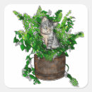 Search for catnip stickers Kitten