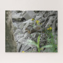 Search for squirrel puzzles Landscape