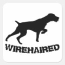 Search for german pointer stickers Drahthaar