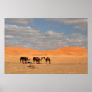 Search for camel desert posters Dromedary