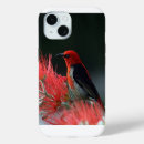 Search for scarlet iphone cases Pretty