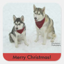 Search for cute husky stickers Merry christmas