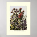 Search for michaelmas Vintage