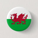 Search for cymru badges Red dragon