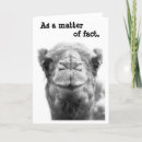 Search for camels cards Cute