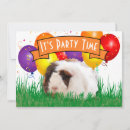 Search for cavies invitations Guinea pig