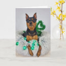 Search for st pat cards St patrick's day