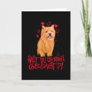 Search for norwich terrier Puppy