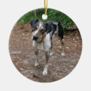 Search for catahoula christmas tree decorations Pets