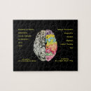 Search for right brain Education