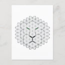 Search for male lions postcards Big cats