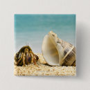 Search for animals shell badges Crab