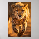 Search for sprinting posters Nature