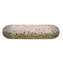 Search for fishing skateboards Rainbow