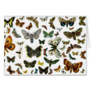 Search for lithograph cards Illustration