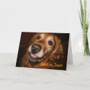Search for golden retriever halloween cards Treat