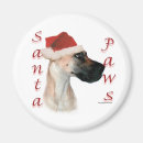 Search for dane magnets Dog