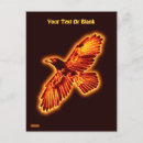 Search for ravens postcards Wildlife