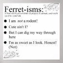 Search for ferret posters Animal