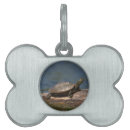Search for turtle pet supplies Water