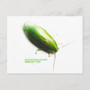 Search for earthday postcards Green