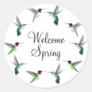 Search for easter envelope seals Bird