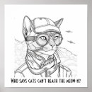 Search for funny pilot posters Aeroplane