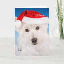 Search for westie dog christmas cards Cute dogs