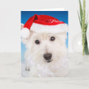 Search for westie christmas cards Cute dogs