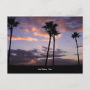 Search for st petersburg postcards Palm trees