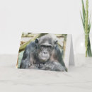 Search for chimpanzee cards Animal
