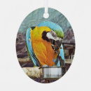 Search for macaw christmas tree decorations Pet
