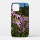 Search for aster flower iphone cases Nature