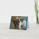 Search for resting cards Cute