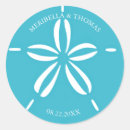 Search for sand dollar Nautical