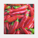 Search for spices magnets Vegetable