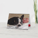 Search for boston terrier valentines day cards Dog