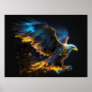 Search for fire fly Eagle