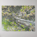 Search for sand dune fencing art Dunes