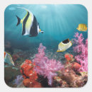 Search for coral reef stickers Beach